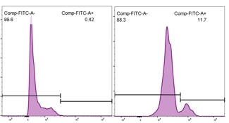 A chart showing results of a study.